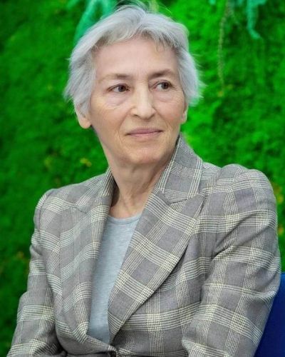 Ibragimova Elvira Memetovna, Speaker at Nanotechnology Conference